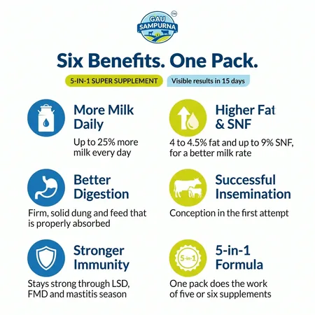 Dairy Fortune - View 2