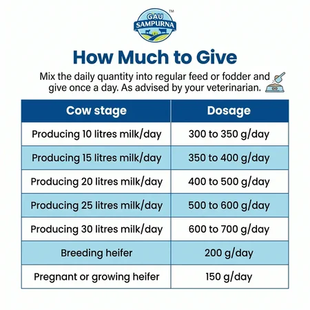 Dairy Fortune - View 3