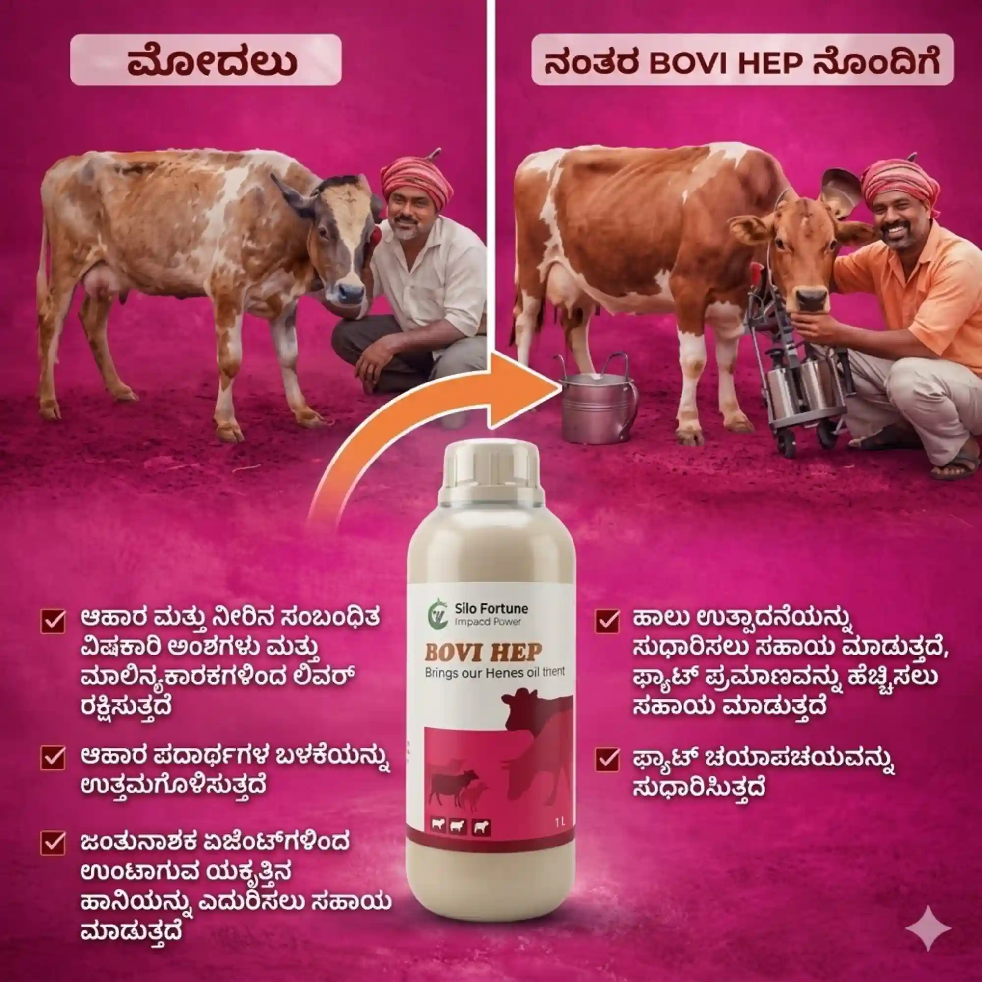 ಬೋವಿ ಹೆಪ್ - View 3