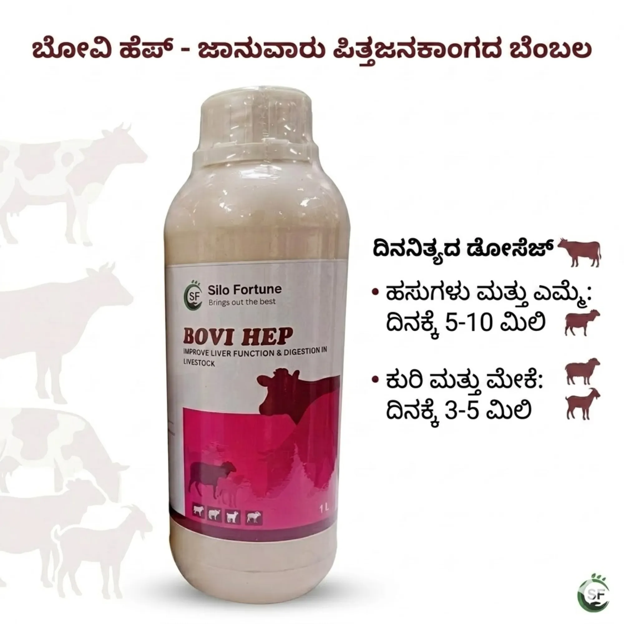 ಬೋವಿ ಹೆಪ್ - View 4