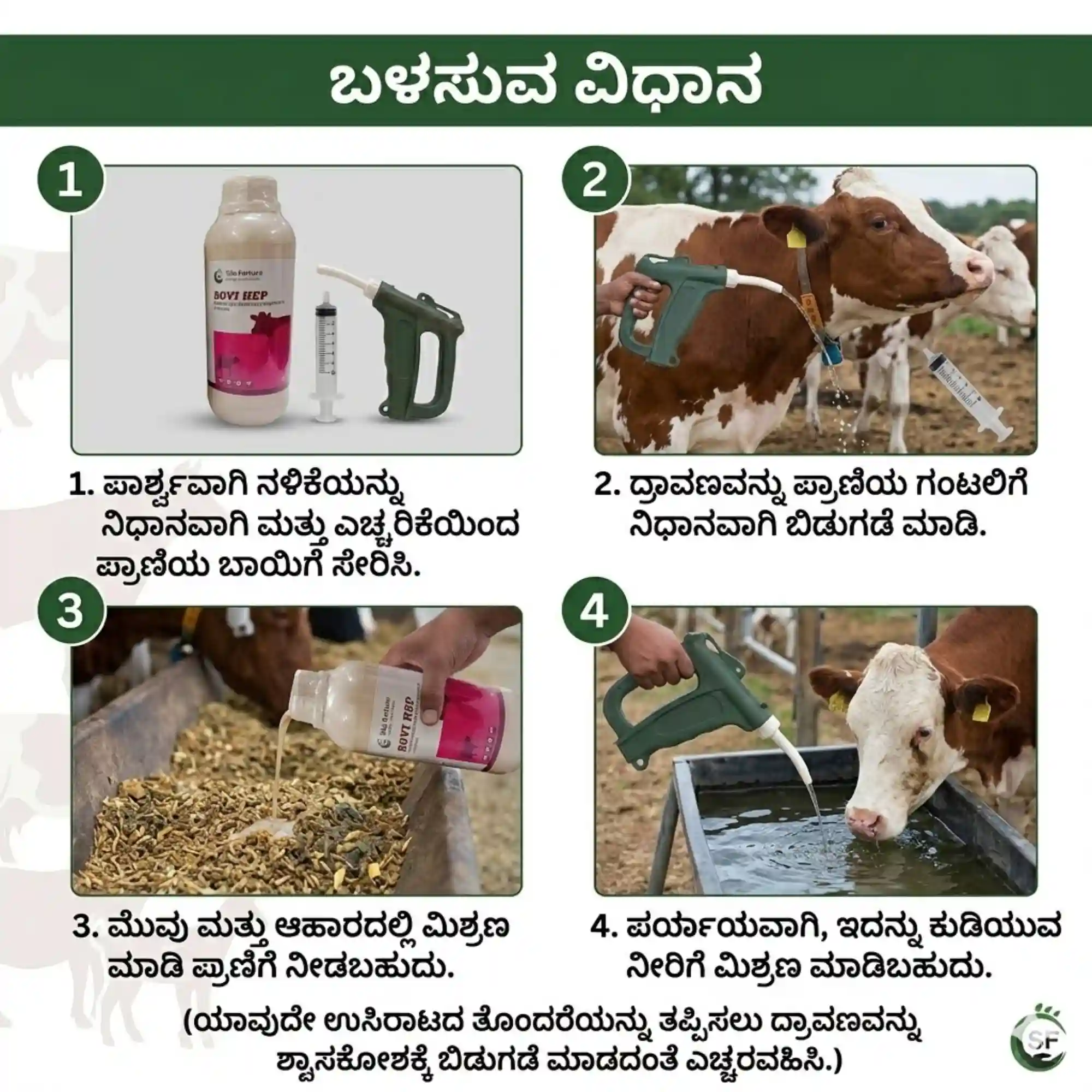 ಬೋವಿ ಹೆಪ್ - View 5