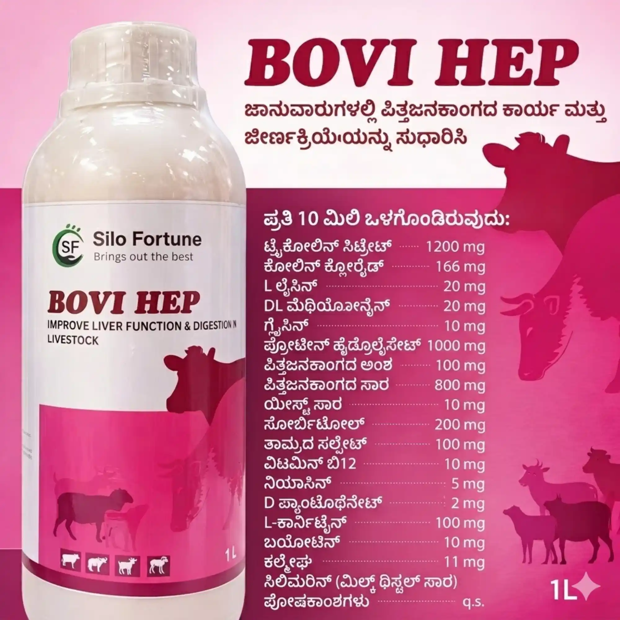 ಬೋವಿ ಹೆಪ್ - View 7