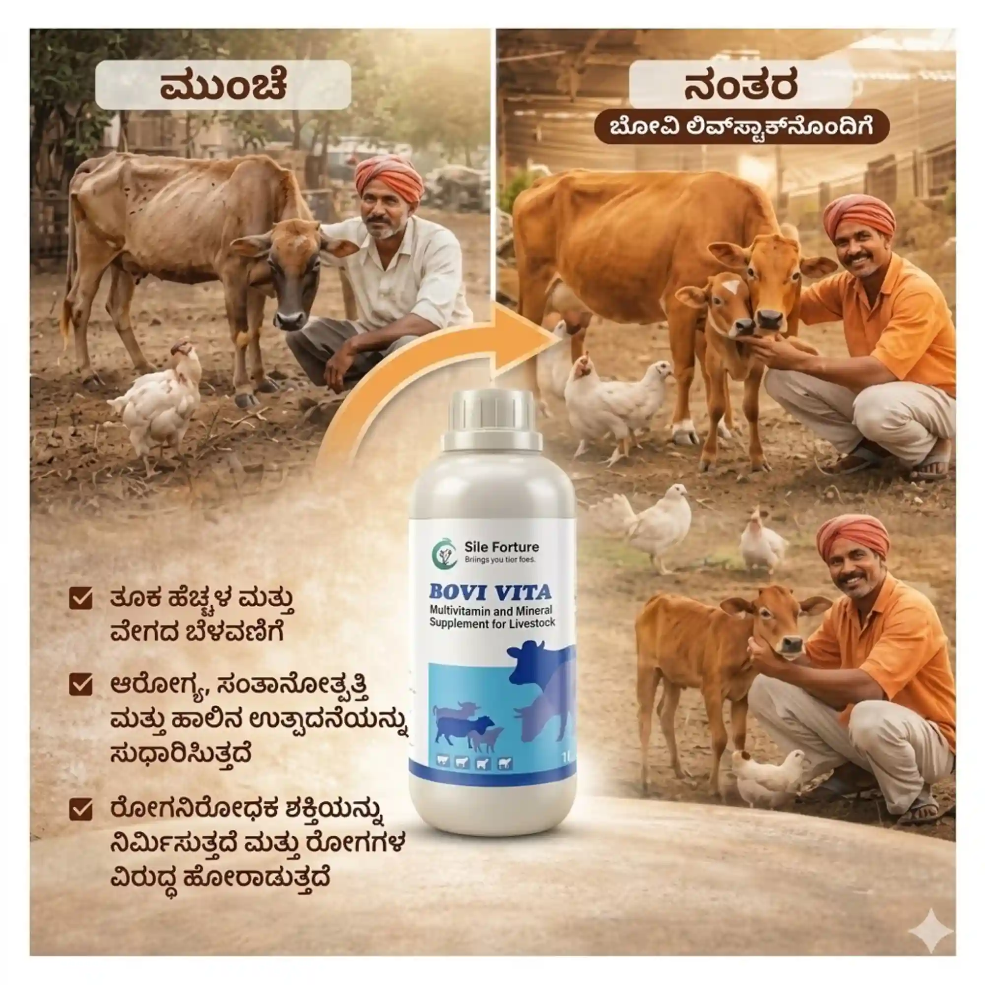 ಬೋವಿ ವೀಟಾ - View 3