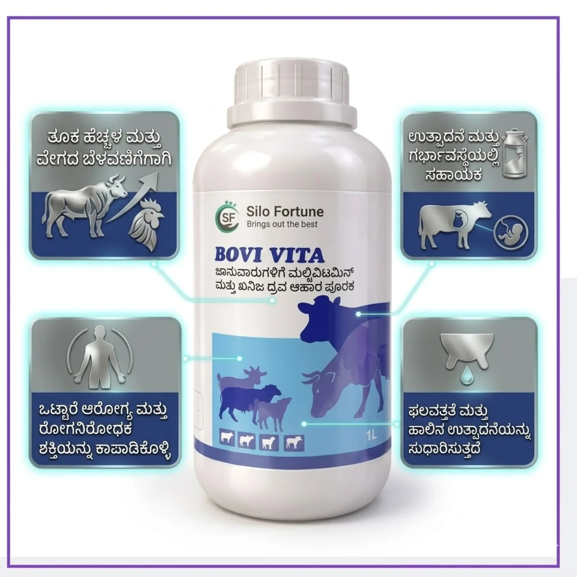 ಬೋವಿ ವೀಟಾ - View 2