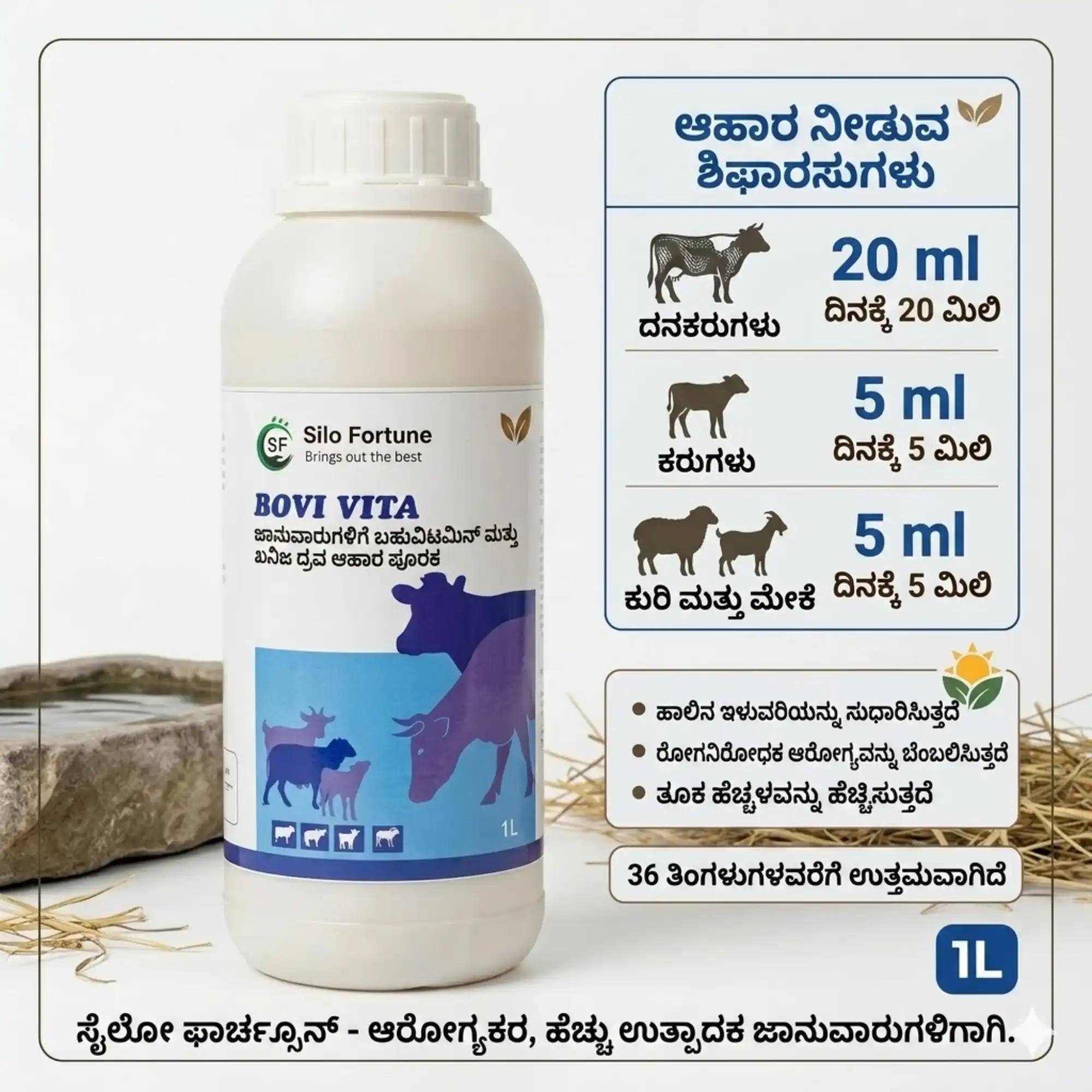 ಬೋವಿ ವೀಟಾ - View 4