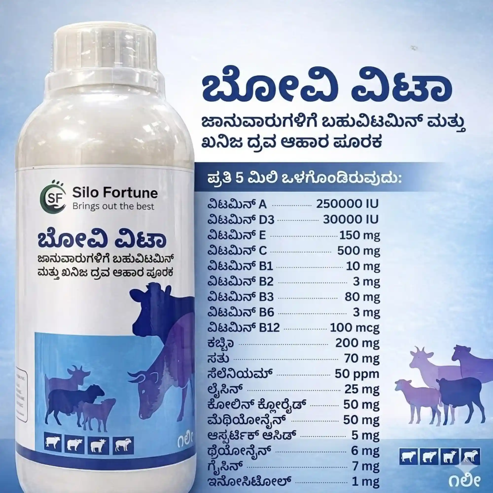 ಬೋವಿ ವೀಟಾ - View 6