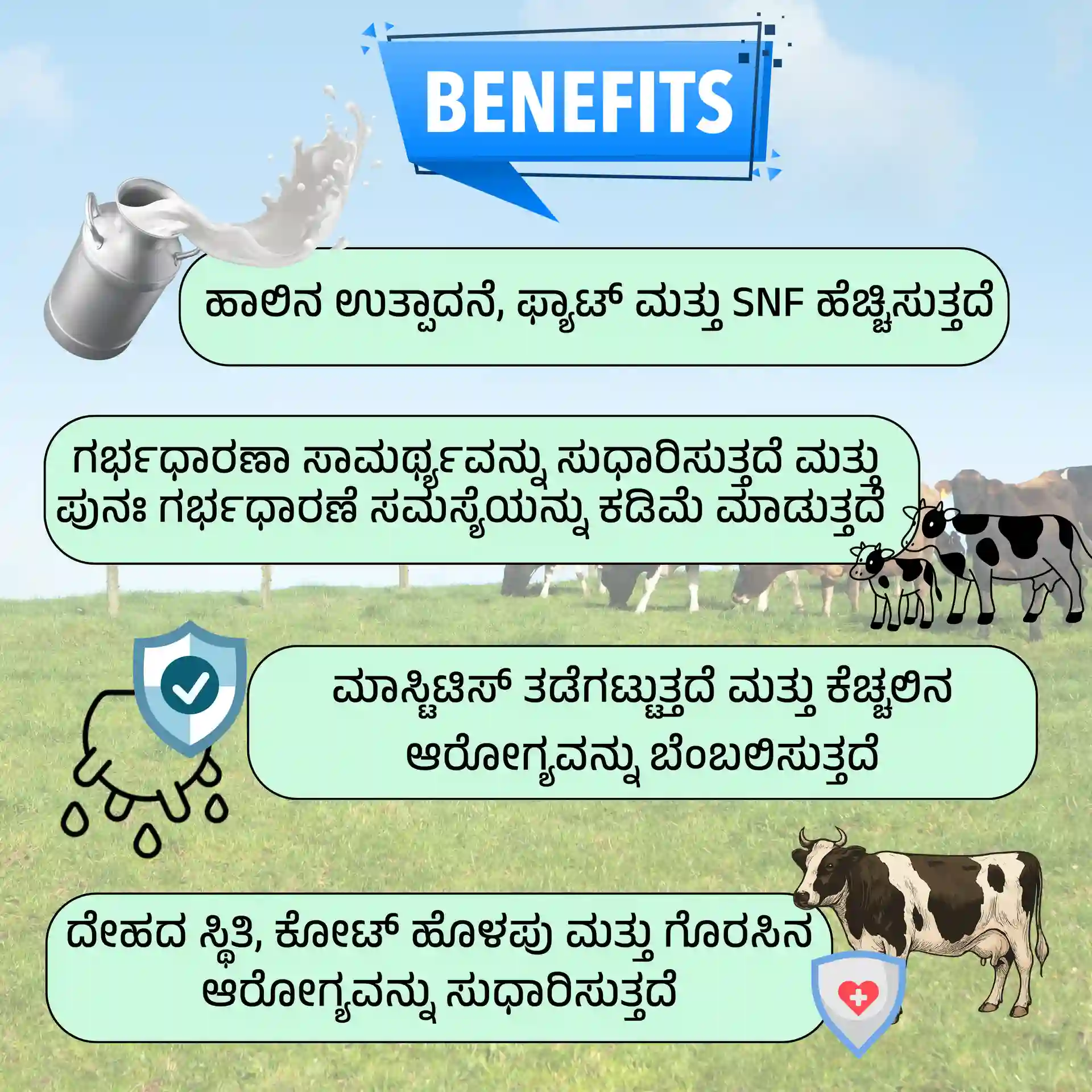 ಡೈರಿ ಫಾರ್ಚೂನ್ - View 2