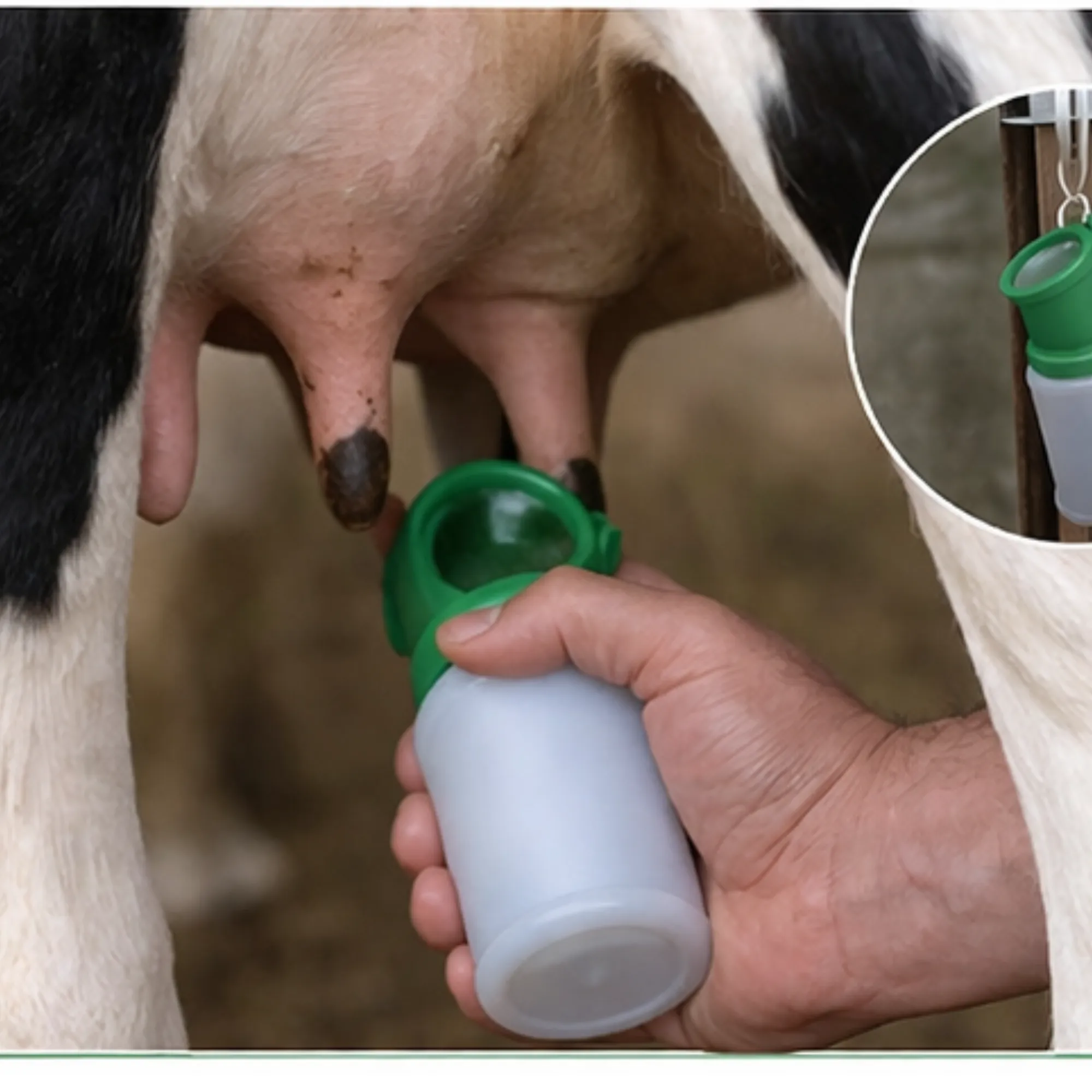 ಸಿಲೋ ಡಿಪ್ ಕಪ್ - View 5