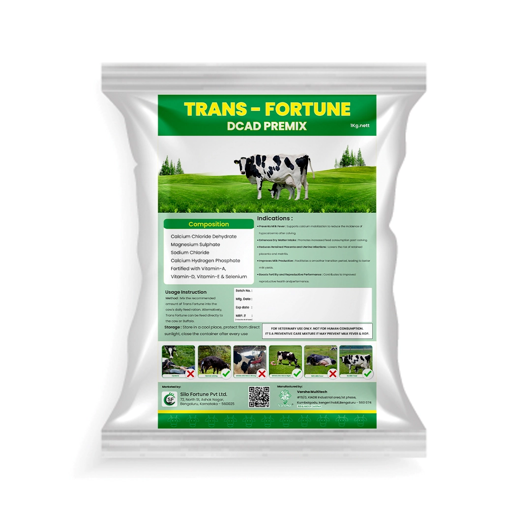 ಟ್ರಾನ್ಸ್ ಫಾರ್ಚೂನ್ - View 5