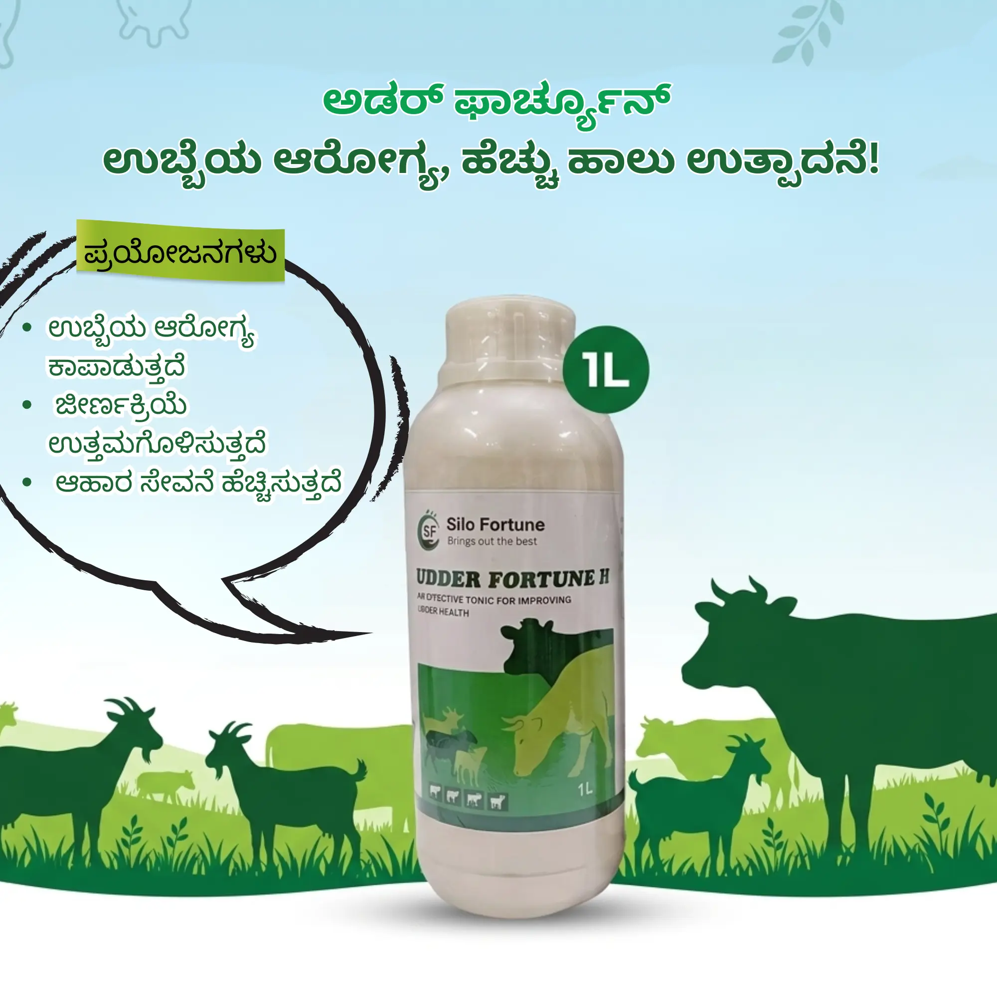 ಉಡ್ಡರ್ ಫಾರ್ಚೂನ್ ಎಚ್ - View 6