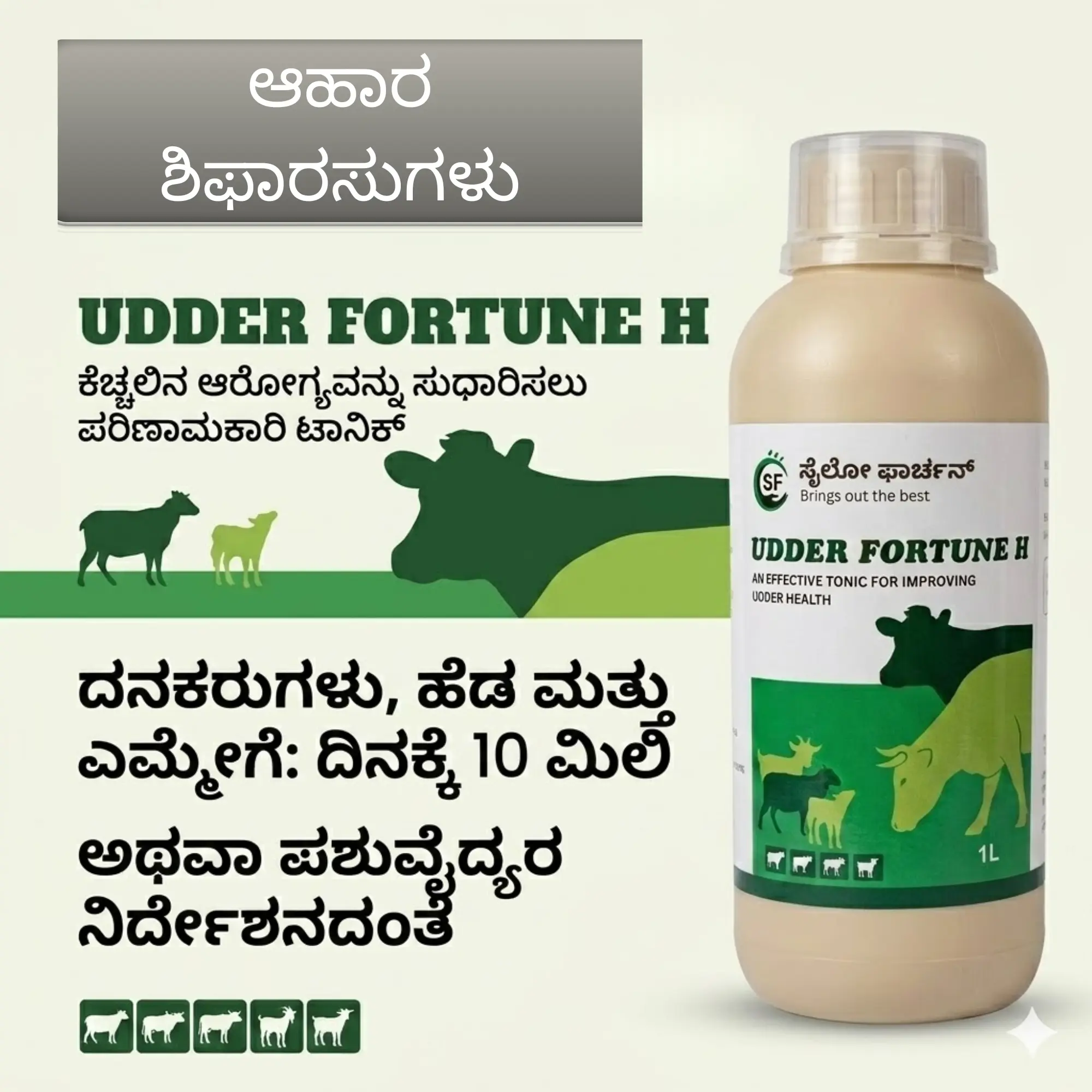 ಉಡ್ಡರ್ ಫಾರ್ಚೂನ್ ಎಚ್ - View 2