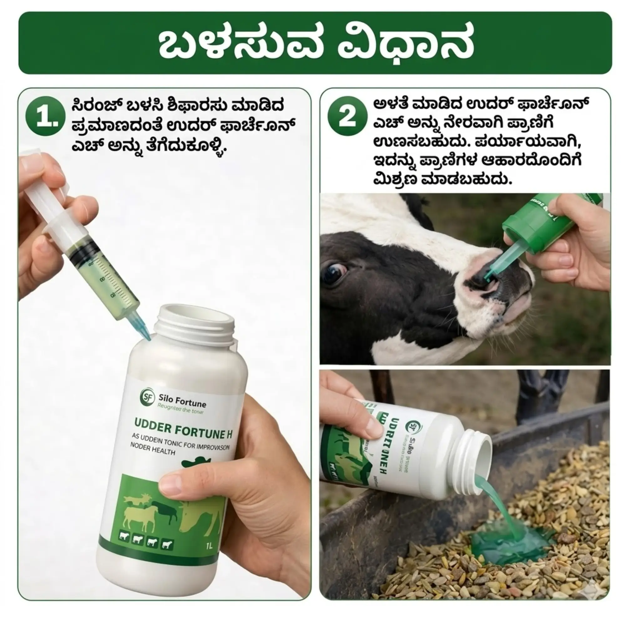 ಉಡ್ಡರ್ ಫಾರ್ಚೂನ್ ಎಚ್ - View 3