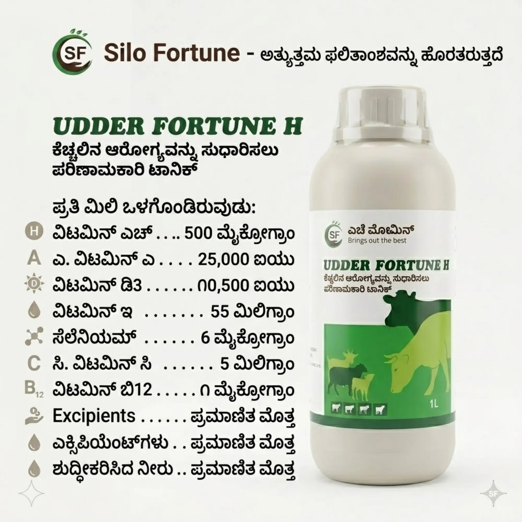 ಉಡ್ಡರ್ ಫಾರ್ಚೂನ್ ಎಚ್ - View 7