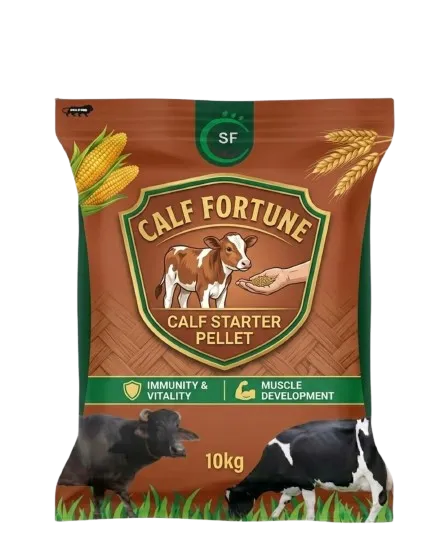 Calf Fortune