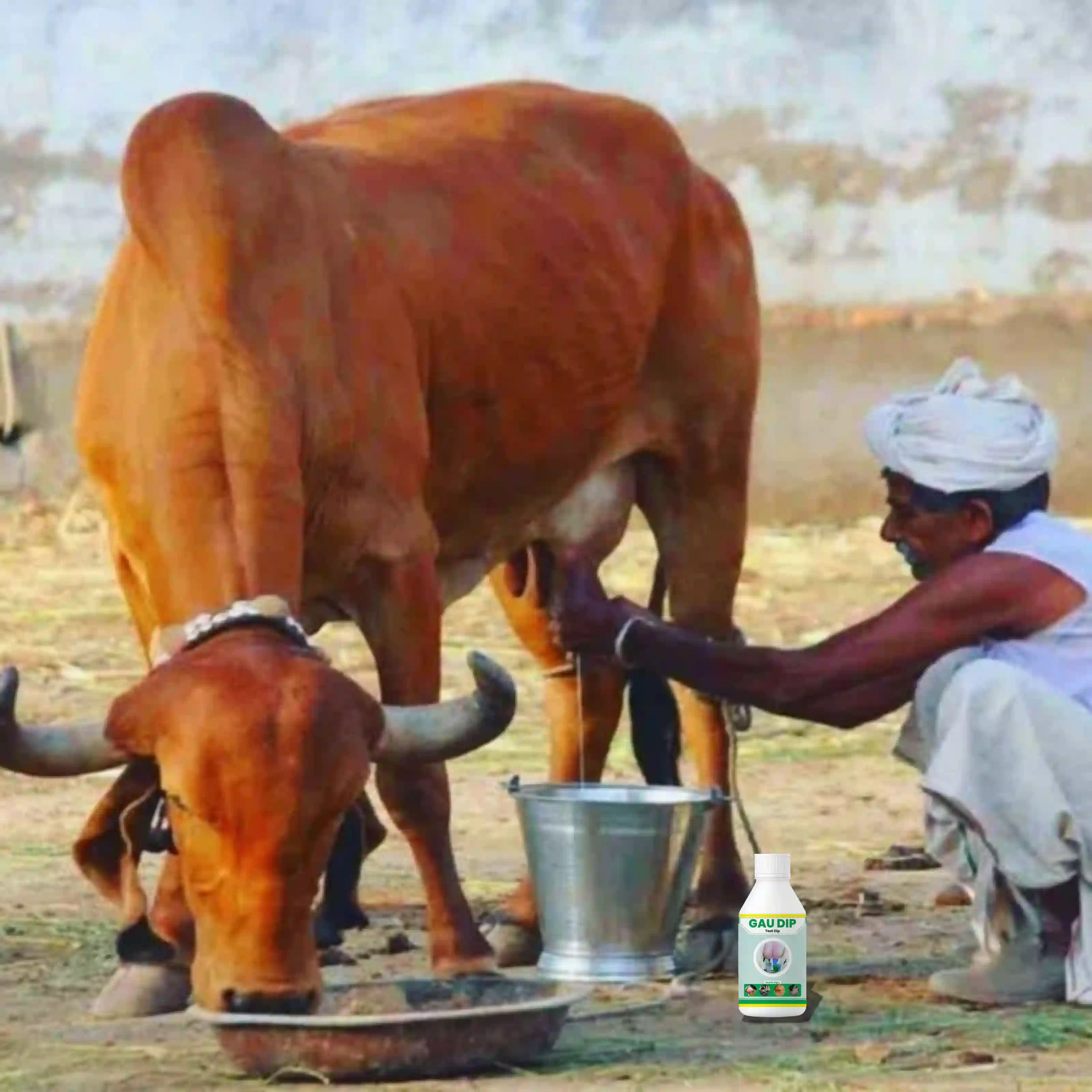 ಗೌ ಡಿಪ್ - View 5