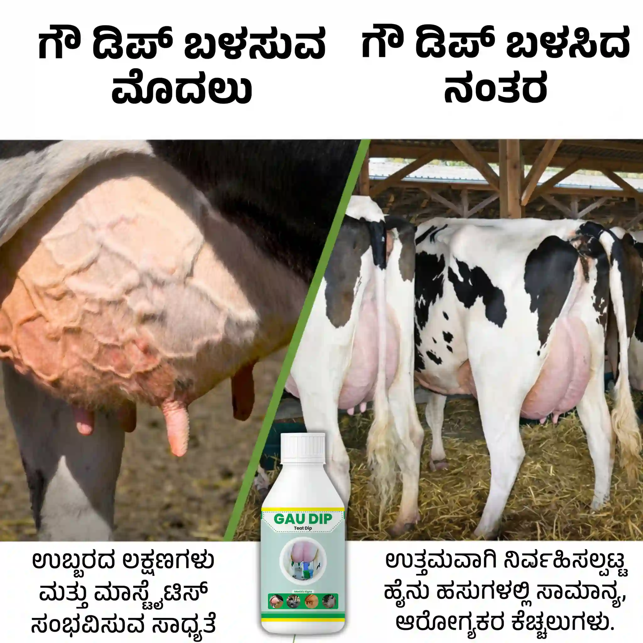 ಗೌ ಡಿಪ್ - View 3