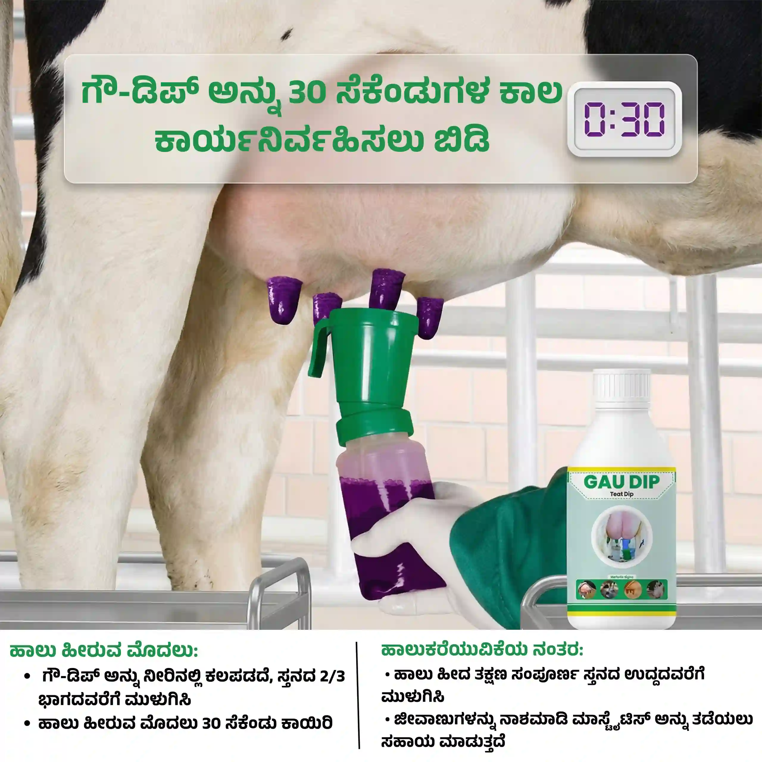 ಗೌ ಡಿಪ್ - View 4