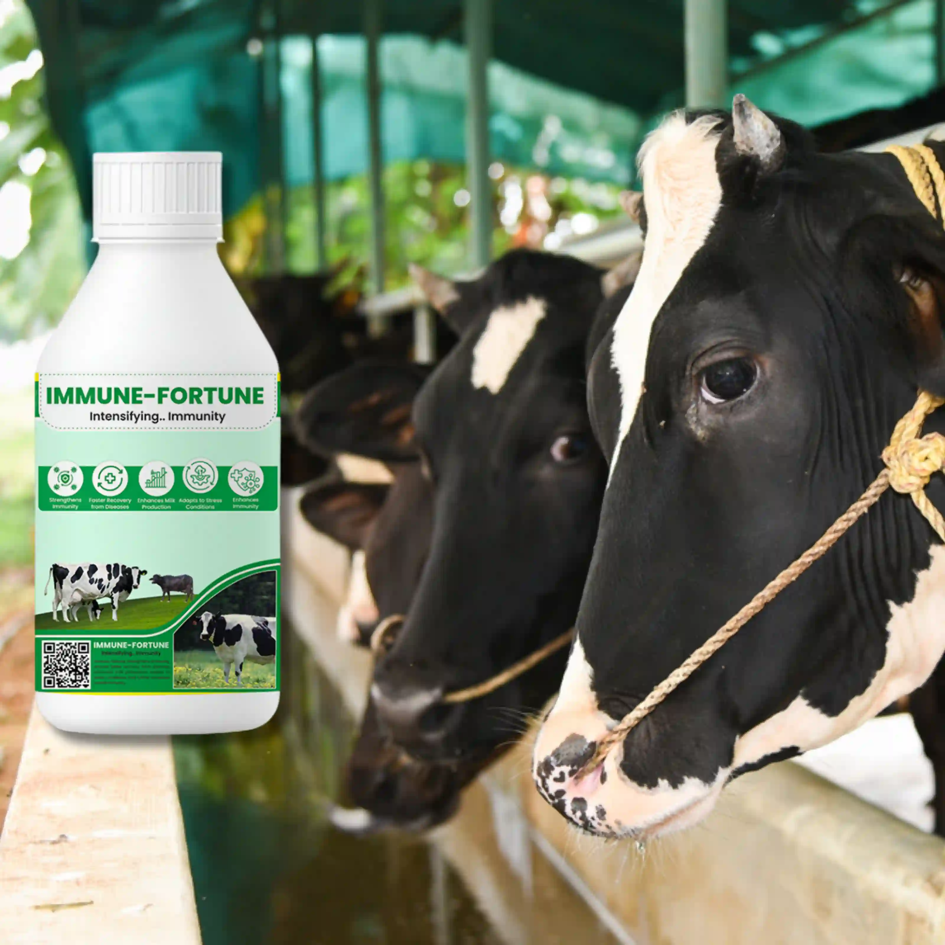 ಇಮ್ಯೂನ್ ಫಾರ್ಚೂನ್ - View 7