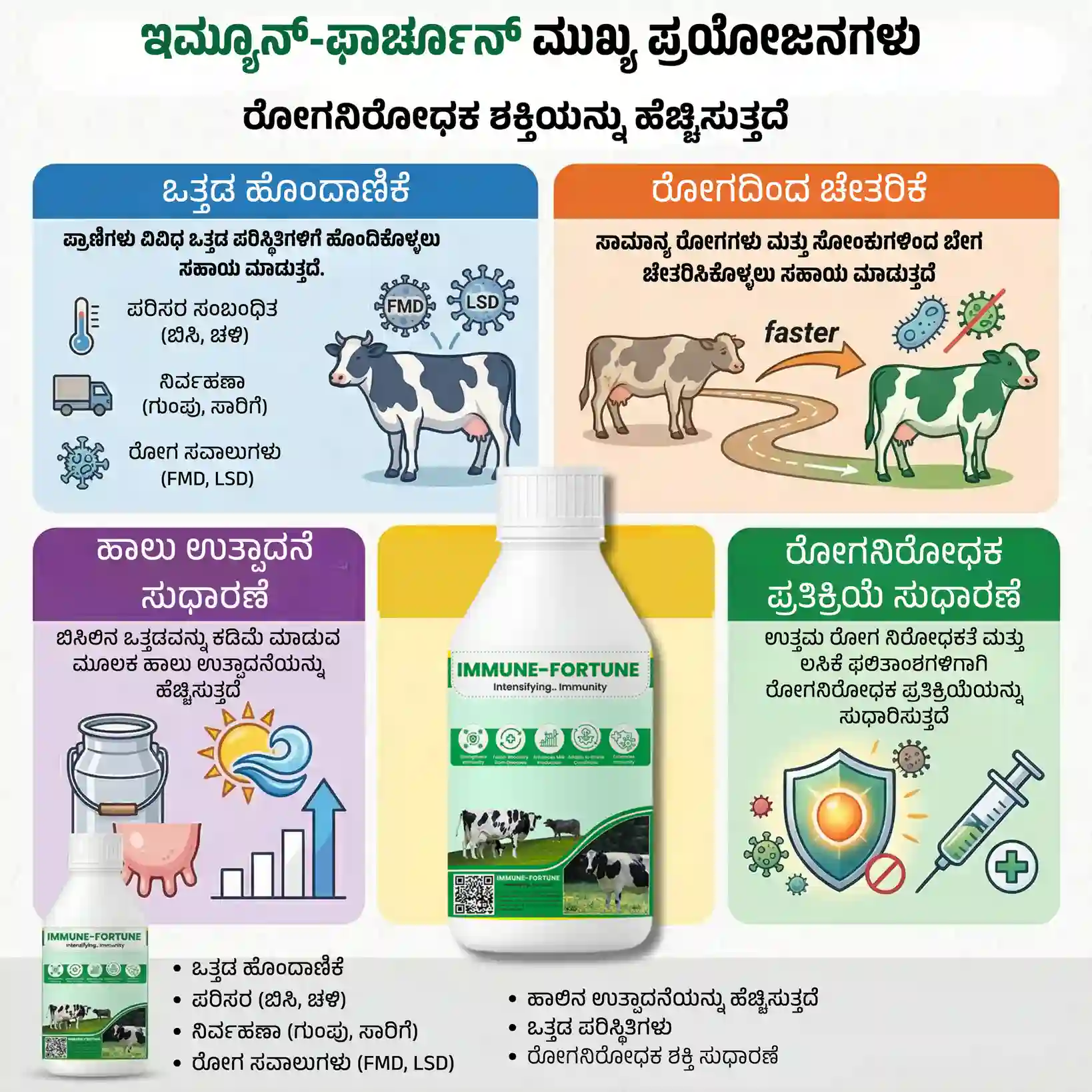 ಇಮ್ಯೂನ್ ಫಾರ್ಚೂನ್ - View 3
