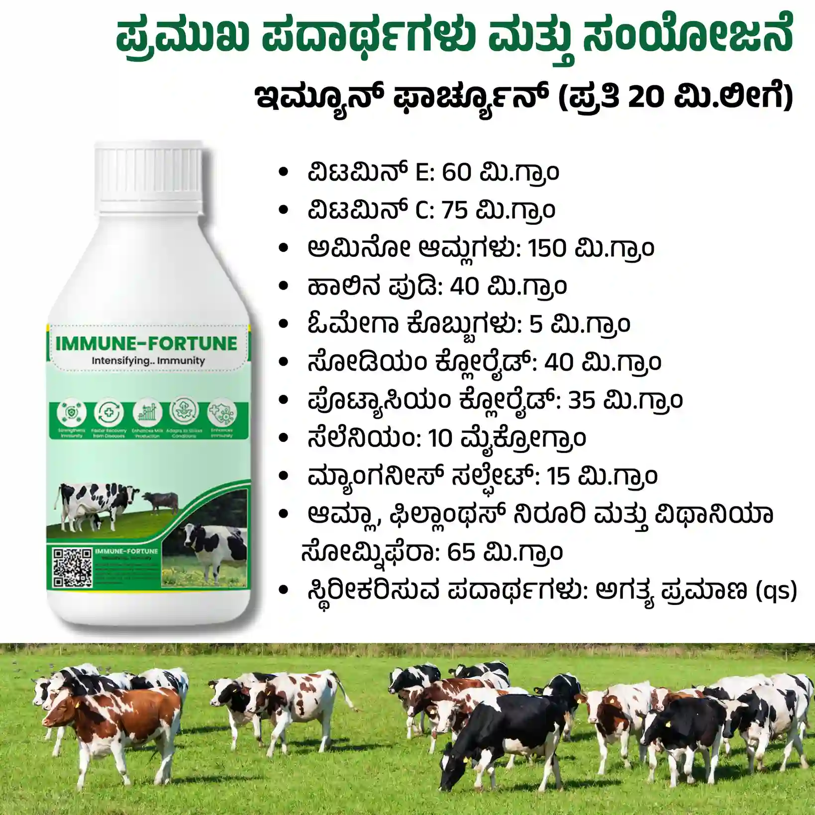 ಇಮ್ಯೂನ್ ಫಾರ್ಚೂನ್ - View 8