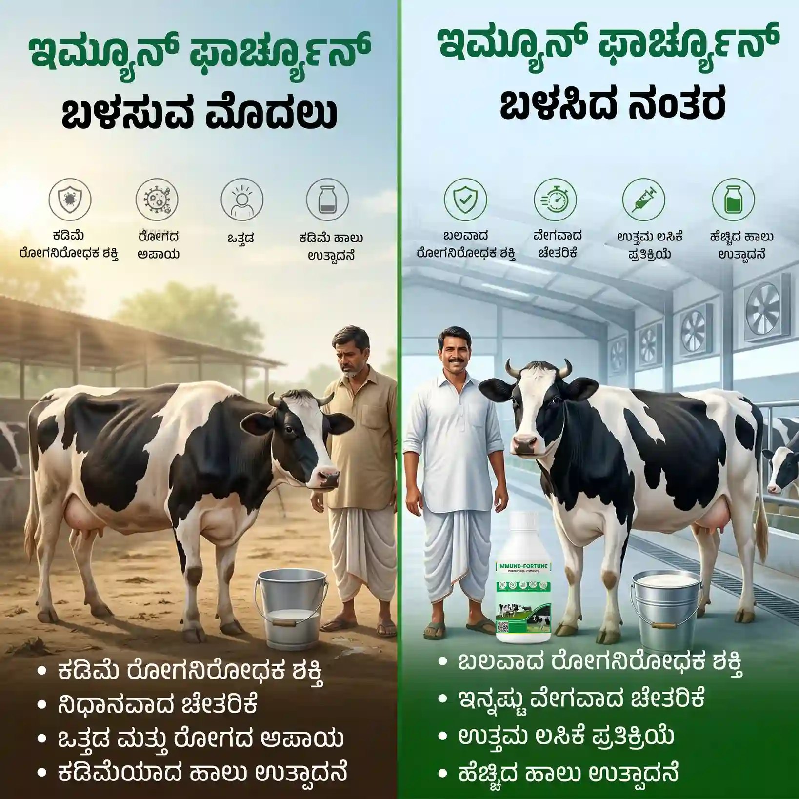 ಇಮ್ಯೂನ್ ಫಾರ್ಚೂನ್ - View 4