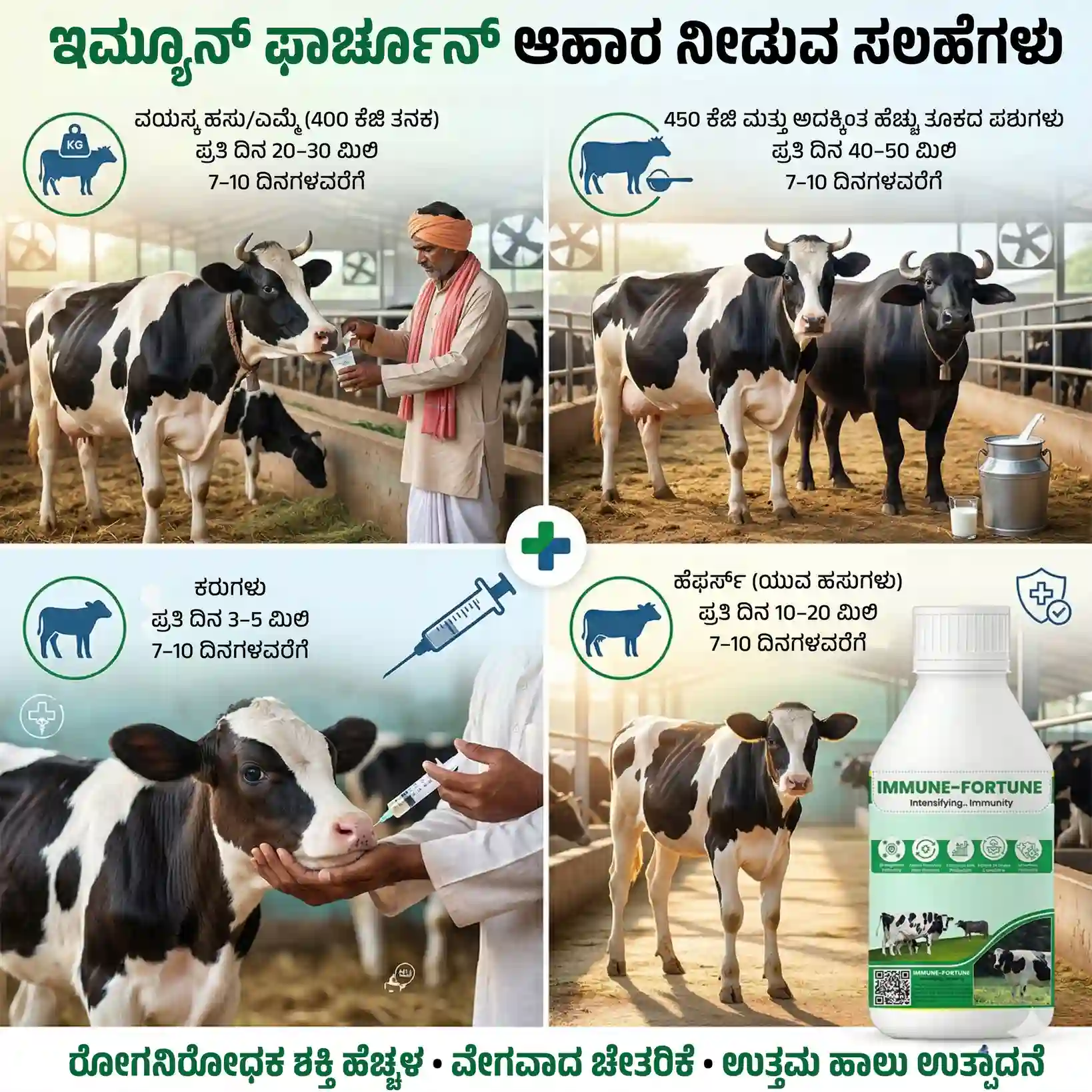 ಇಮ್ಯೂನ್ ಫಾರ್ಚೂನ್ - View 5