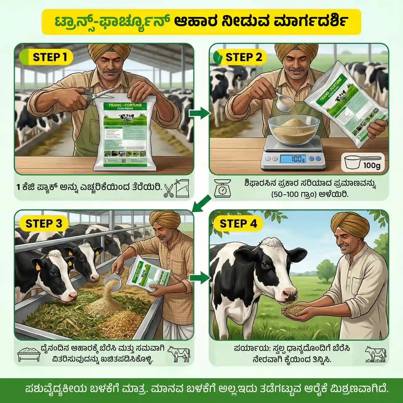 ಟ್ರಾನ್ಸ್ ಫಾರ್ಚೂನ್ - View 3