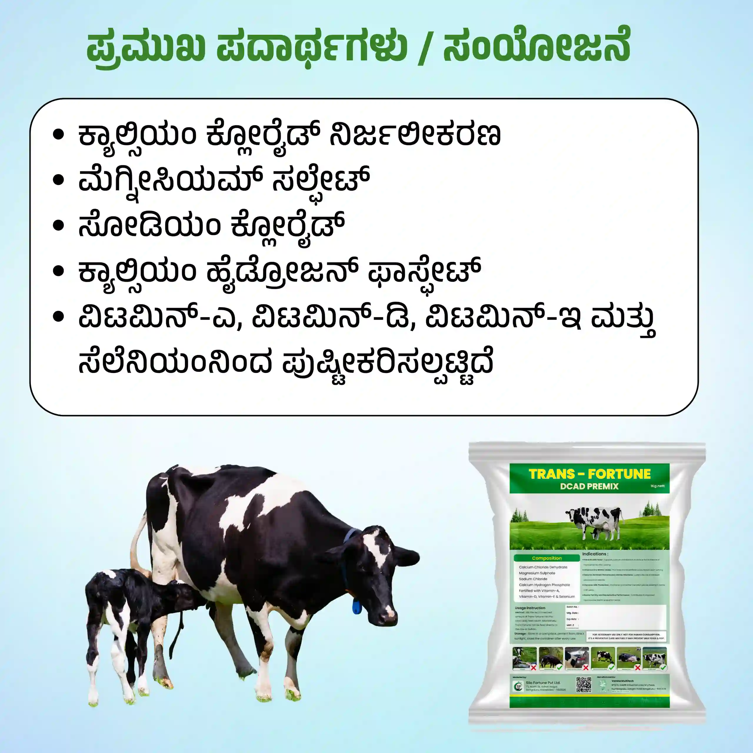 ಟ್ರಾನ್ಸ್ ಫಾರ್ಚೂನ್ - View 4