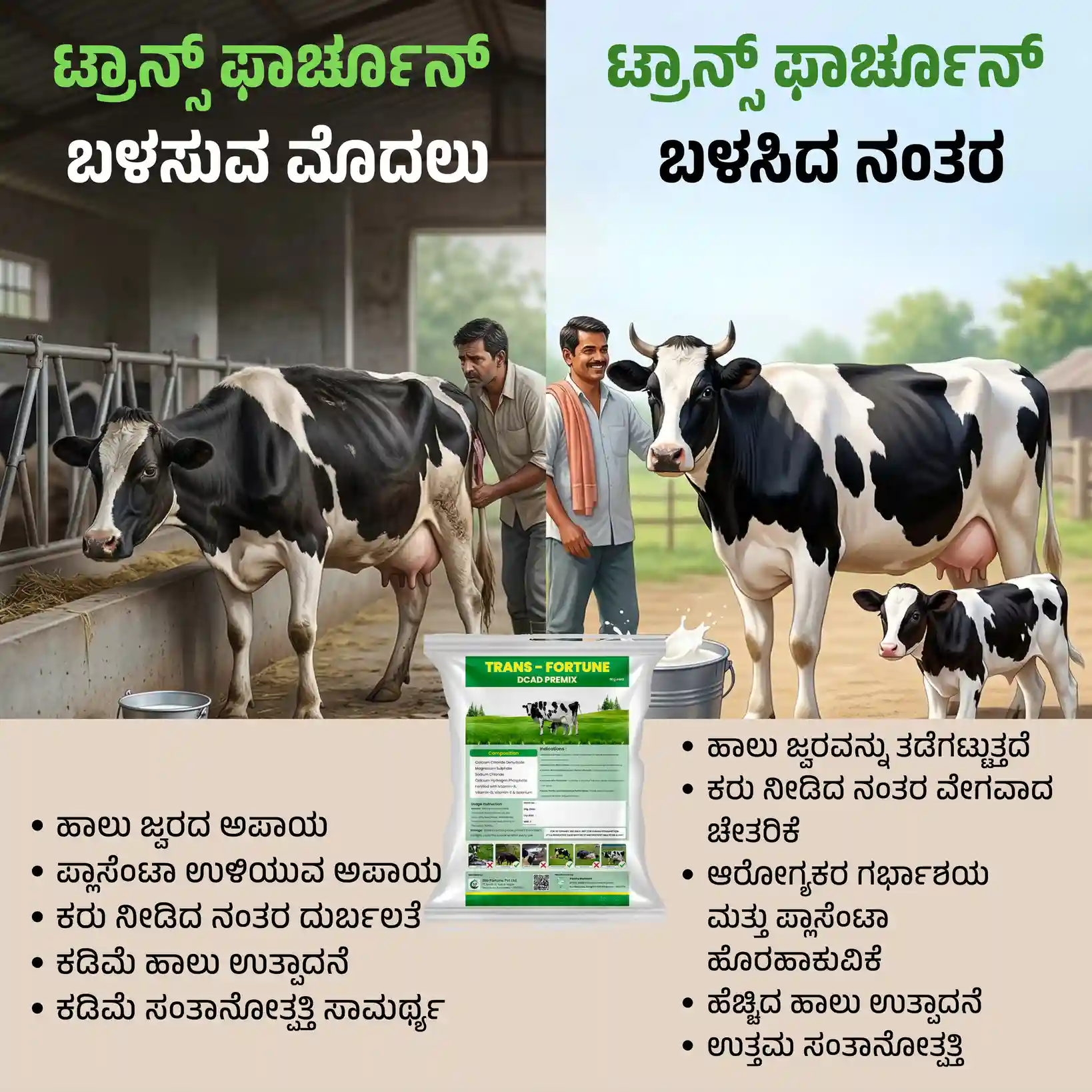 ಟ್ರಾನ್ಸ್ ಫಾರ್ಚೂನ್ - View 2